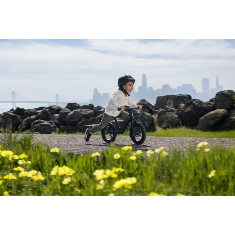 Giant Pre Rcarbon Push Bike - Image 23