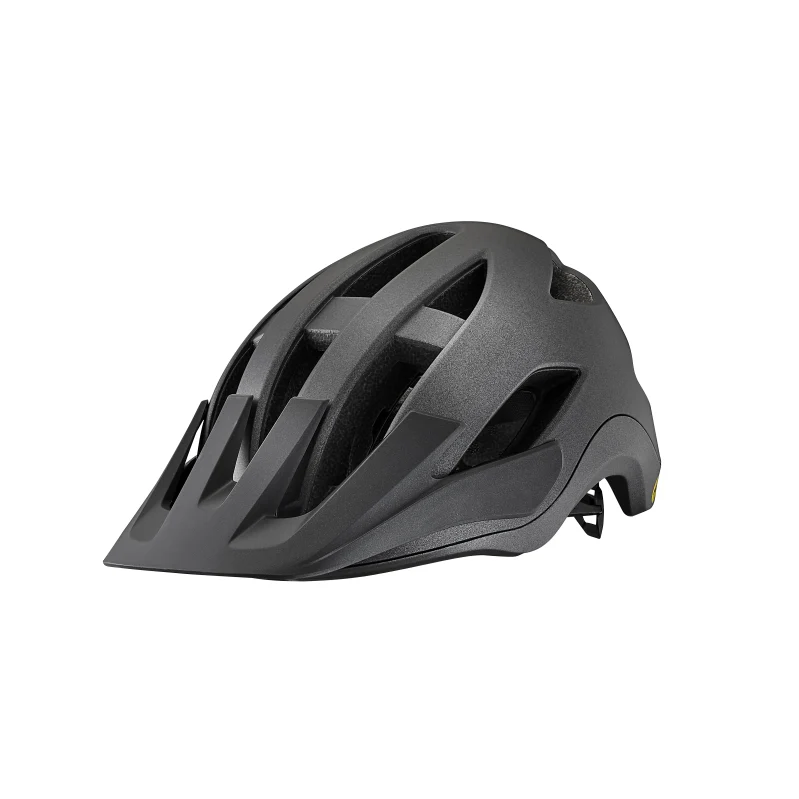 Giant Roost MIPS Helmet