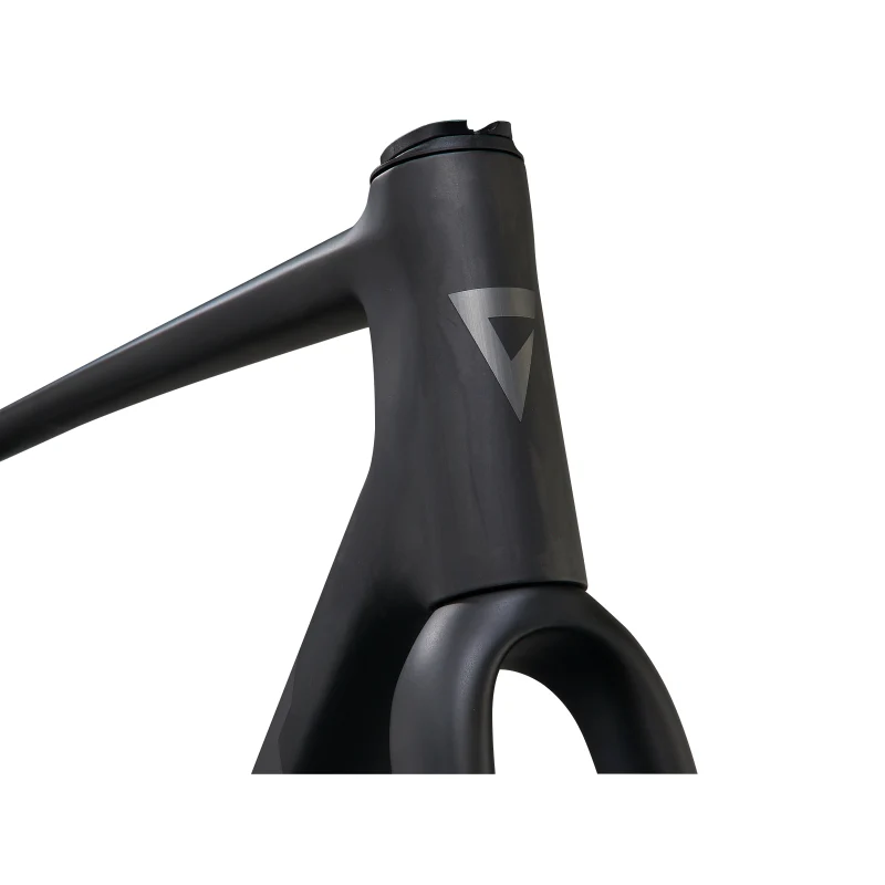 Giant TCR Advanced SL Frameset - Image 10