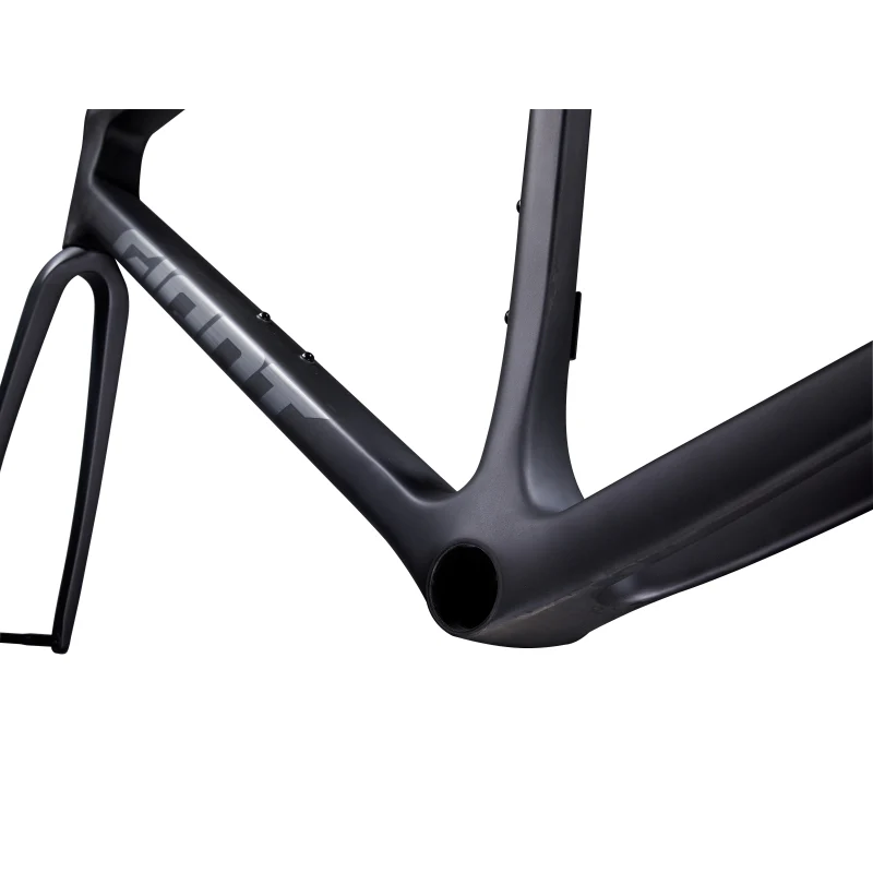 Giant TCR Advanced SL Frameset - Image 12