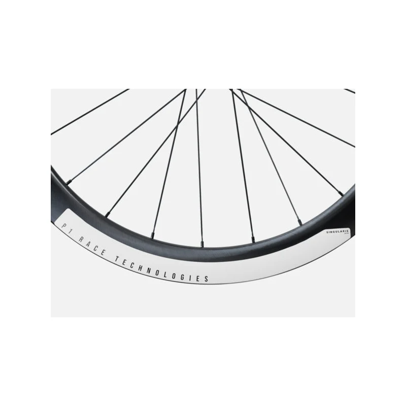 P1 Race Technologies Singularis R50 Disc Brake White Industries/XDR Wheel Set - Image 5